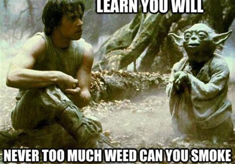 Yoda Stoner Memes Weed Memes