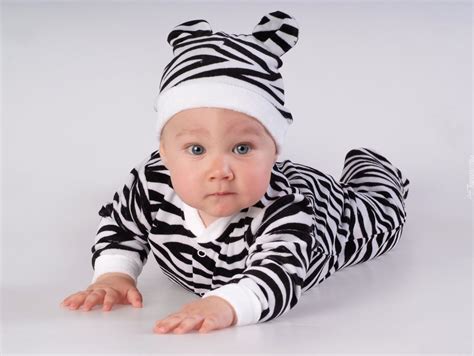male dziecko ubranko zebry