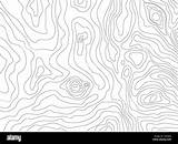 Map Topographic Lines Line Wavy Pattern Abstract Simple Contours Vector Terrain Topography Alamy Stock Illustration sketch template