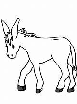 Donkeys Burros Burro Coloringhome Buros sketch template