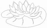 Lily Pad Coloring Water Pages Calla Pads Print Lilies Printable Color Drawings Getcolorings Size sketch template