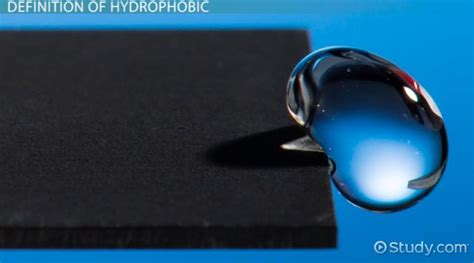 hydrophobic definition effect examples lesson studycom