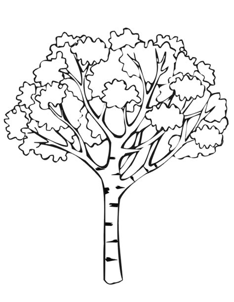 autumn coloring page autumn tree