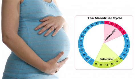 When Is The Best Time To Get Pregnant