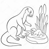 Otter Coloring Pages River Mother Drawing Baby Outline Cute Color Daughter Vector Clip Getdrawings Looks Getcolorings Illustrations Printable Similar sketch template