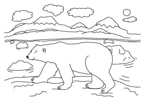 polar bear coloring pages kidsuki