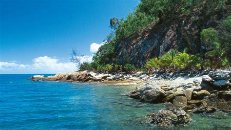 palm cove holidays cheap palm cove holiday packages deals expedia
