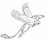 Griffin Griffon Greif Lineart Fabelwesen Mythology Fantastique Creature Zeichnen Wolf Mythologie Drachen sketch template