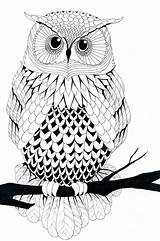 Owl Drawings Drawing Line Owls Deviantart Coloring Pages Color Chouette Hibou Printable Uil Illustration Pattern Clipart Sketches Adults Adult Lady sketch template