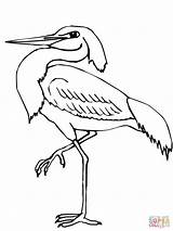 Heron Coloring Hurry Getdrawings Getcolorings sketch template