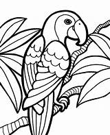 Coloring Parrot Color Printable Print Sheet Topcoloringpages Paintable Easy Wild sketch template