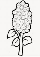 Coloring Pages Flower Printable Filminspector sketch template