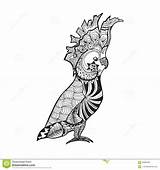 Zentangle Cockatoo Drawing Stylized Tattoo Choose Board Sketch Parrot sketch template