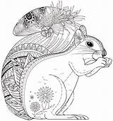 Squirrel Zentangle Supercoloring sketch template