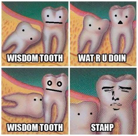 Wisdom Tooth Stahp Know Your Meme
