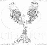 Phoenix Coloring Bird Pages Flying Clipart Illustration Magical Atstockillustration sketch template