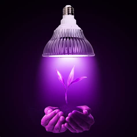 oxyled led plant grow light bulb hydroponic plant grow