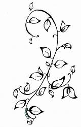 Vine Flower Drawing Drawings Tattoos Vines Tattoo Leaf Ivy Clipartkid Clipart sketch template