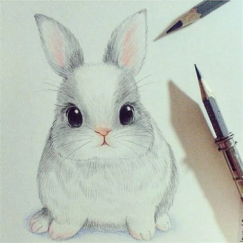 dibujos  lapiz conejos reverasite