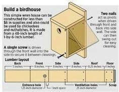 basic bird house plans   bird house plans bird houses  cuttings