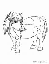 Mewarnai Poney Poni Kuda Shetland Hellokids Ponis Colorier Ponies Reales Cheval Dessiner Jedessine Paud Ausmalen Poneys Macam sketch template
