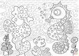 Coloring Seahorse Pages Imitator Coral Reef Its Printable sketch template