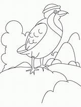 Coloring Rock Pages Partridge Sitting Beautiful Popular sketch template