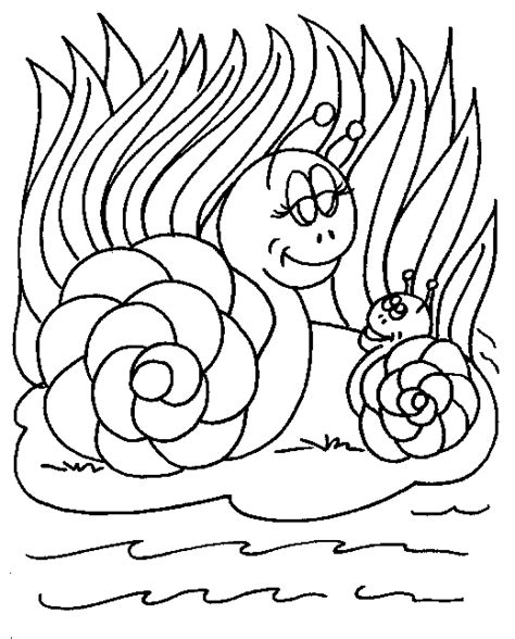 tiny  slow animal snail coloring pages coloring pages