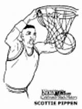 Scottie Celebrities Coloring Sportspeople Pippen Pages sketch template