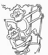 Monkey Coloring Pages Animals Color Print Animal Monkeys Sheets Town Back Kids sketch template