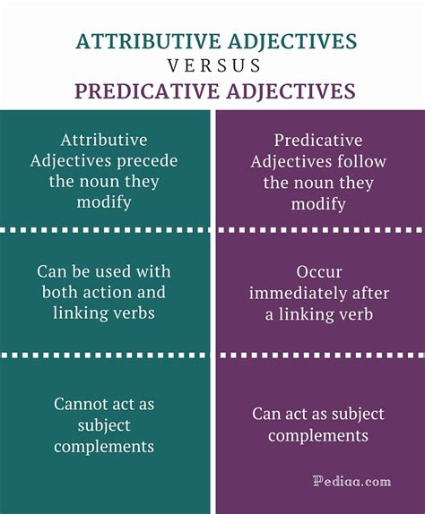 difference  attributive  predicative adjectives learn