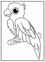 Papagaio Parrots Desenho Iheartcraftythings sketch template