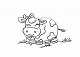 Coloring Pages Cute Cows Cartoon Reply sketch template