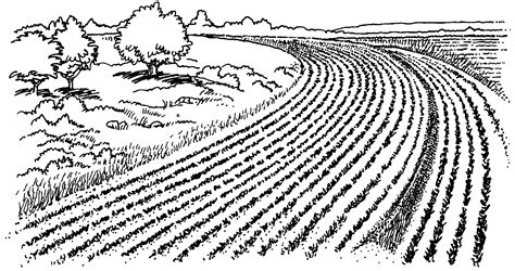 farm field drawing  getdrawings