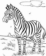 Zebra Coloring Pages Cute Printable Kids Print Printables Animal sketch template