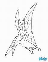 Coloring Pages Pteranodon Pterodactyl Dinosaur Print Color Flying Dinosaurs Colour Baby Printable Popular Hellokids Library Clipart Coloringhome Doghousemusic sketch template