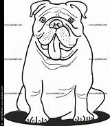 Bulldog Colorear Kleurplaat Makkelijk Getdrawings Hond Razas Cachorros Perritos Pierdas sketch template