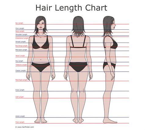 sdestra determining hair length  landmarks   body