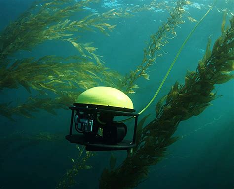 drone aquatic drone  seadrone tech toysforbigboyscom