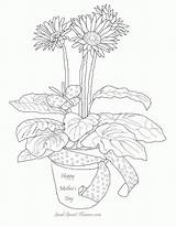 Coloring Daisy Flower Pages Flowers Gerber Colouring Popular Printable Coloringhome sketch template