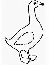 Goose Coloring Pages Animals Kids Golden Eggs Print Geese Clipart Cartoon Book Advertisement Letter Templates Library Popular Insertion Codes Coloringpagebook sketch template
