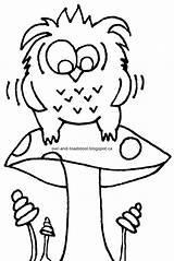 Toadstool Owl Implementing Cheerful sketch template