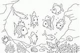 Regenbogenfisch Freunde Malvorlagen sketch template