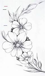 Drawings Drawing Flores Floral Zeichnen Bloemen Bocetos Sketches Blomster Bleistiftzeichnungen Zeichnung Tekenen Skizzen Tatuaje Tatuagens Muslo Tegninger Bloem Rysunki Pintadas sketch template