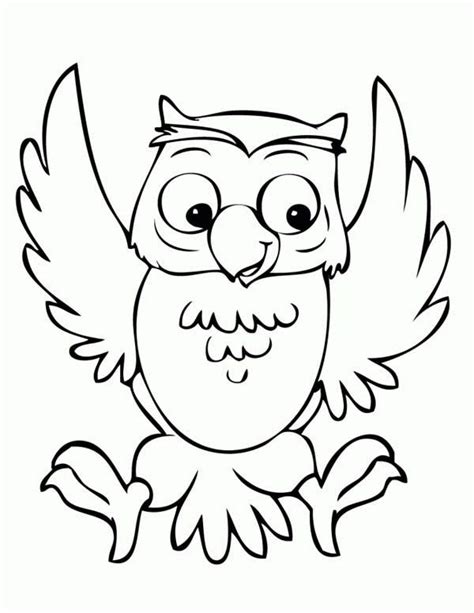 owl coloring pages bird coloring pages animal coloring pages