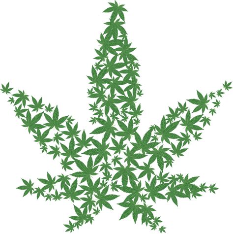 weed leaf png transparent png image collection