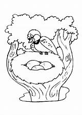 Vogel Nest Passarinhos Coloriages Malvorlagen Oiseau Ausmalbilder Vogels Passaro Lente Speelzolder Dieren Passarinho Burung Mewarnai Colorare Colouring Animasi Aves Bewegende sketch template