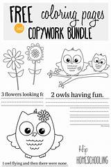 Coloring Pages Owl Printable Bundle Copywork sketch template