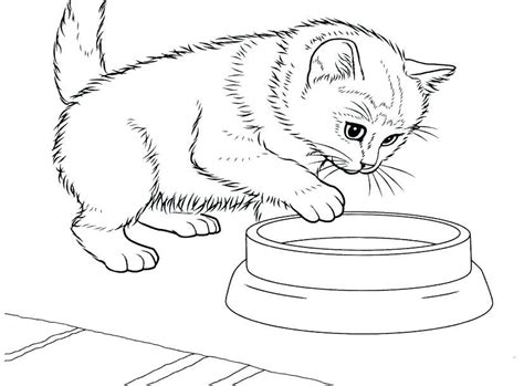 kitten coloring pages  cute kitten coloring pages idea kids
