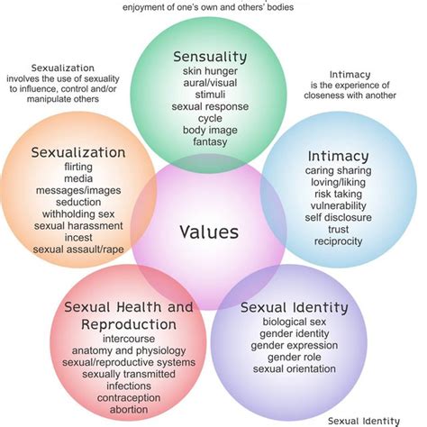 circles of sexuality image provided by the unitarian universalist